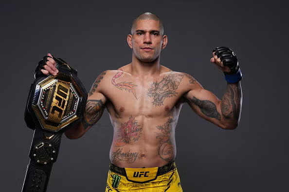 Dominante Vechtstijlen in MMA