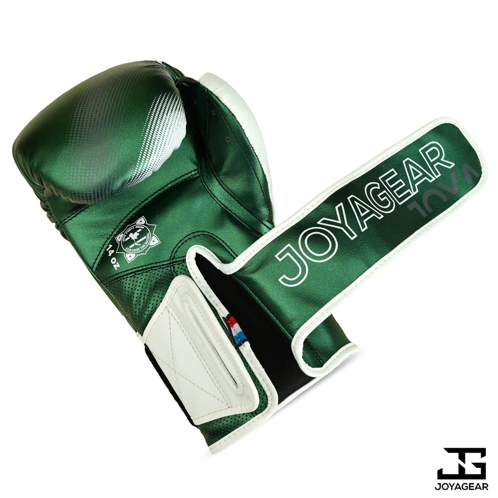 Joyagear "Evolution" Bokshandschoenen - Groen/Wit
