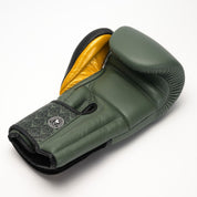 Joyagear X Windy Boxing Gloves Green