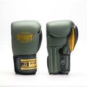 Joyagear X Windy Boxing Gloves Green