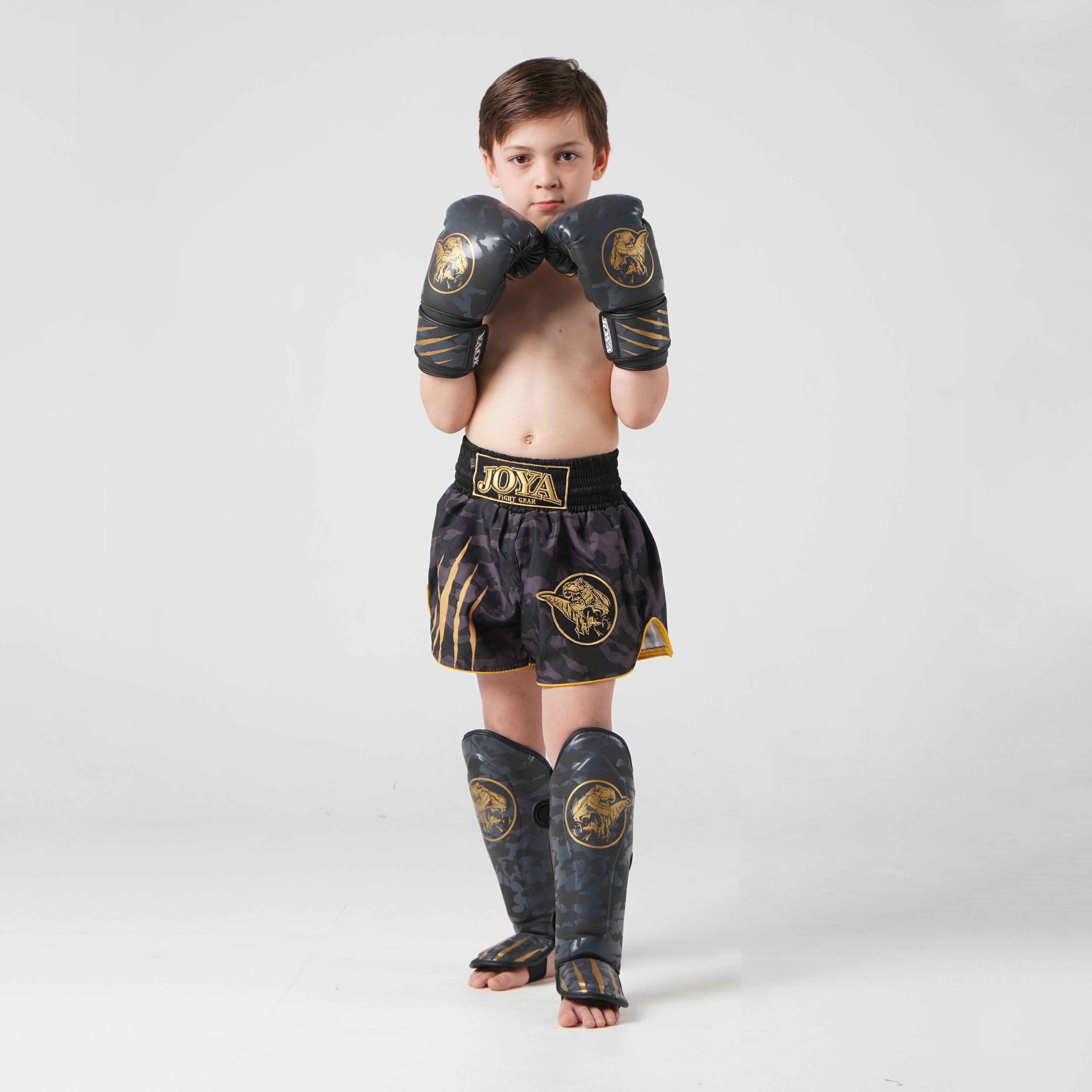 Joya Kids Dino Kickboxing Set Gold