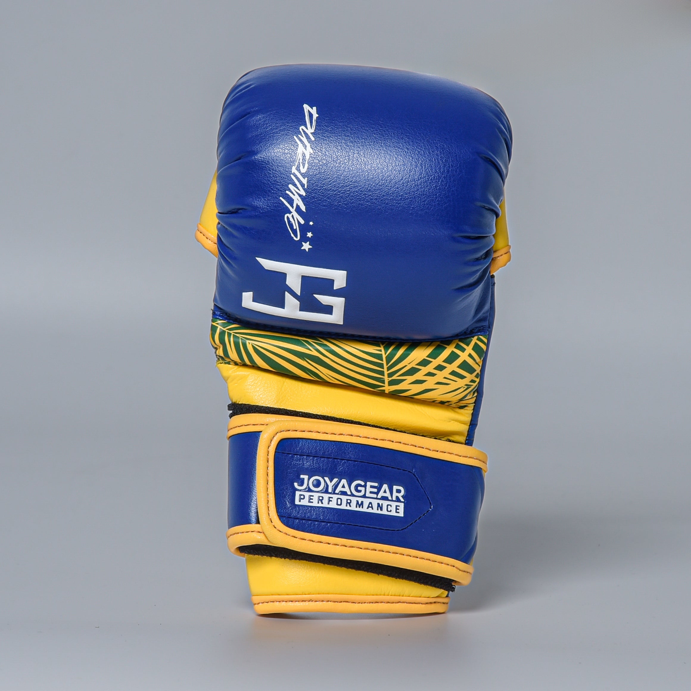 Joyagear X Burns Performance Durinho MMA Gloves