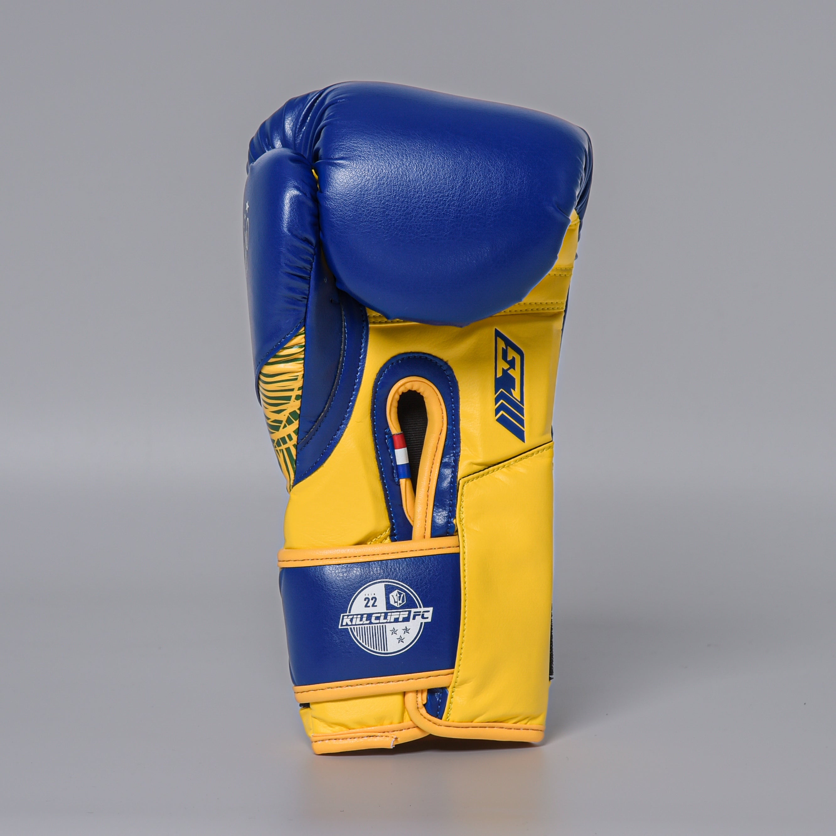 Joyagear X Burns Performance Durinho Boxing Gloves