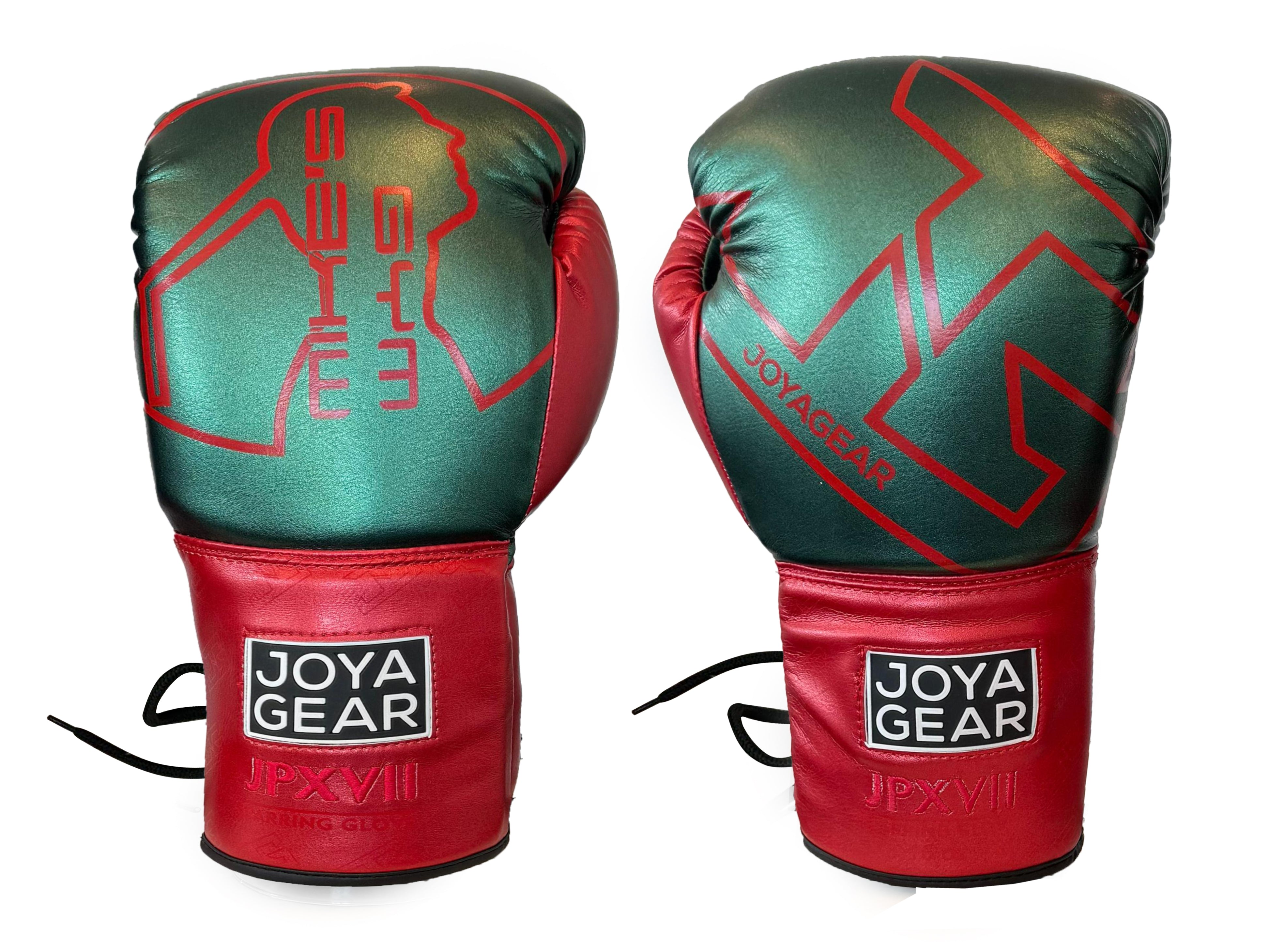 Joyagear "Mike's Gym" Boxing Gloves - Red/Green