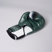 Joyagear "Evolution Pro" Bokshandschoenen - Groen/Wit
